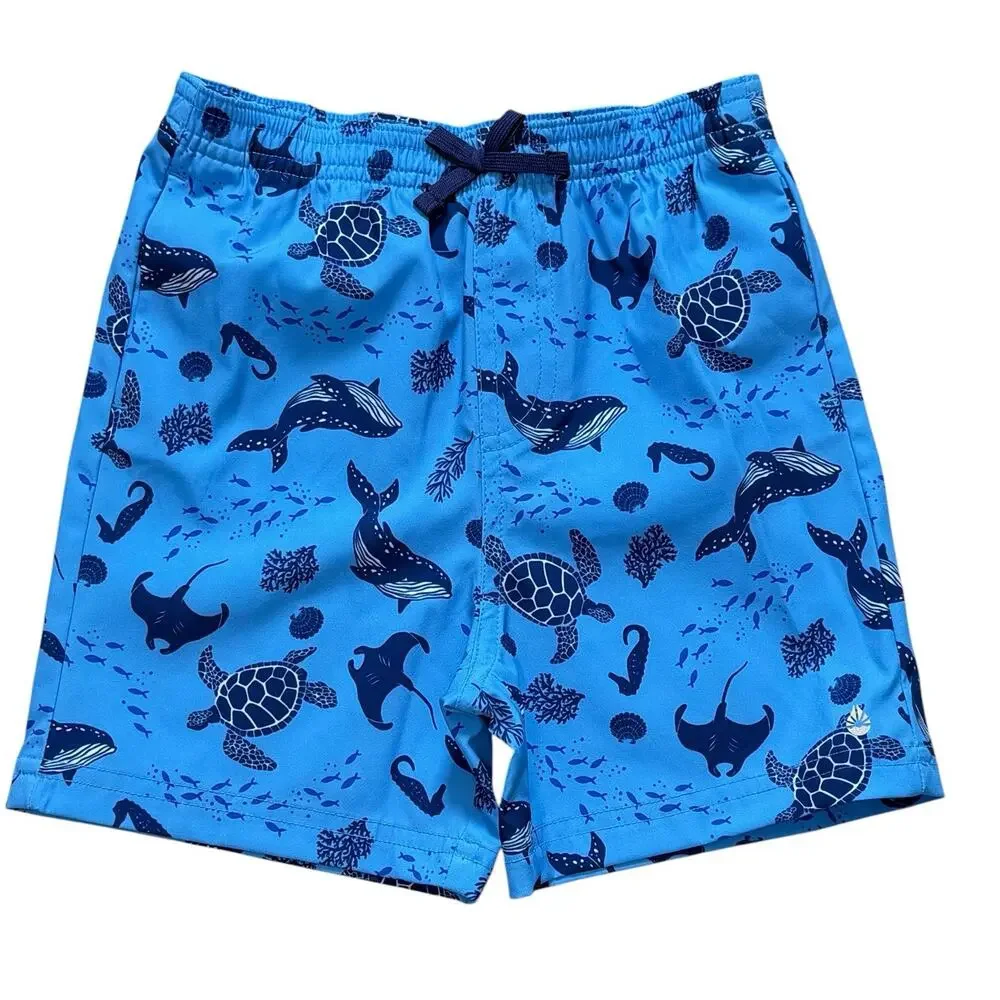 Rash Guard set Swim Blue Boys Shark Long Sleeves SZ/ 5/6
